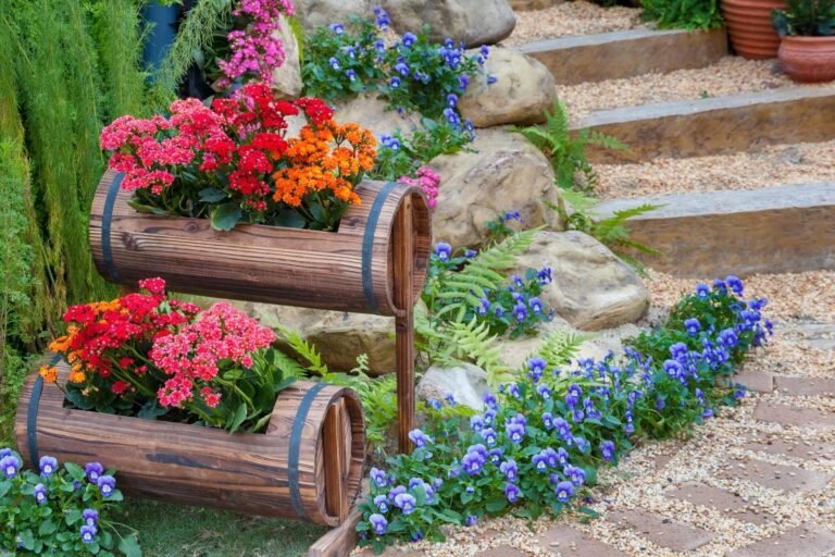 Summer flower seeds blooming in home garden India