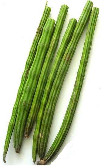 Moringa (murungai) vegetable seeds for planting and growing fresh, healthy drumstick trees in home gardens and farms.
