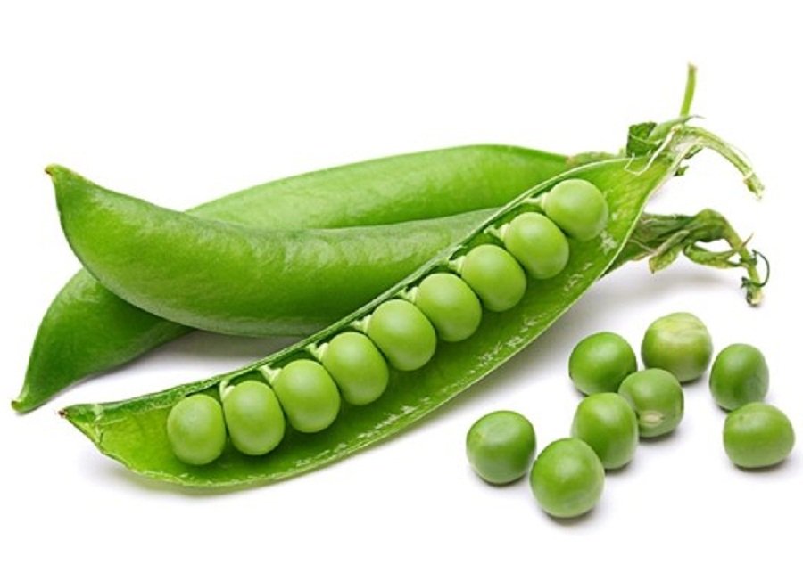 Green pea pods grown from vegetable seeds for planting and growing fresh, healthy peas in home gardens and farms.