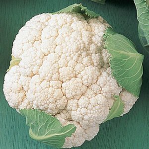 Cauliflower vegetable seeds for planting and growing fresh, healthy cauliflower plants in home gardens and farms.
