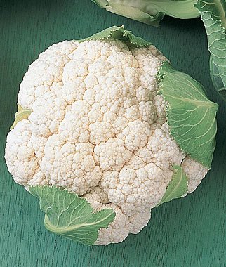 Cauliflower vegetable seeds for planting and growing fresh, healthy cauliflower plants in home gardens and farms.