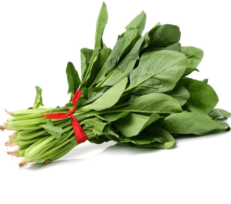 Amaranthus Tender (Thandu Keerai) spinach seeds for planting and growing fresh, healthy tender greens in home gardens and farms.