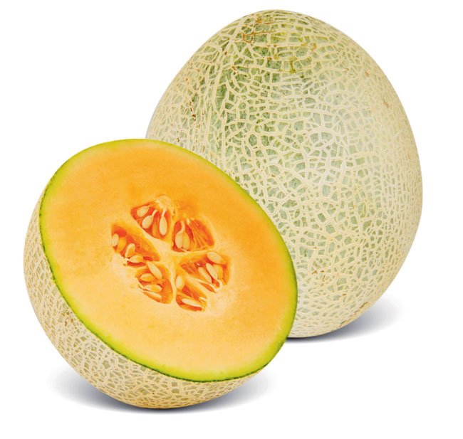 Muskmelon vegetable seeds for planting and growing in home gardens