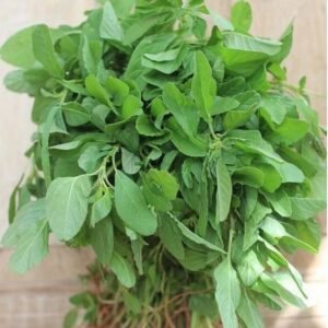 Tropical Amaranthus vegetable seeds and spinach seeds for planting and home gardening