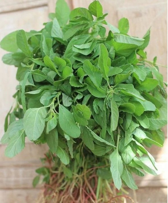 Tropical Amaranthus vegetable seeds and spinach seeds for planting and home gardening