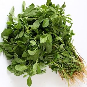 Spinach Vegetable Seeds
