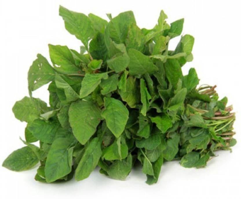 Amaranthus dubius (Arai Keerai) spinach seeds for planting and growing fresh, healthy amaranthus greens in home gardens and farms.