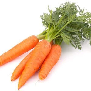 Freshly harvested carrots grown from Gardeny Seeds carrot vegetable seeds
