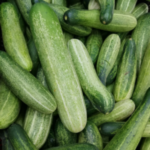 Cucumber vegetable seeds for planting and growing fresh, healthy cucumber plants in home gardens and farms.