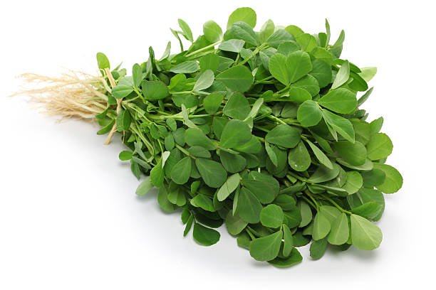 Fenugreek (methi) vegetable seeds for planting and growing fresh, healthy methi greens in home gardens and farms.