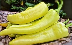 Banana pepper plants grown from vegetable seeds for planting and growing in home gardens and farms.