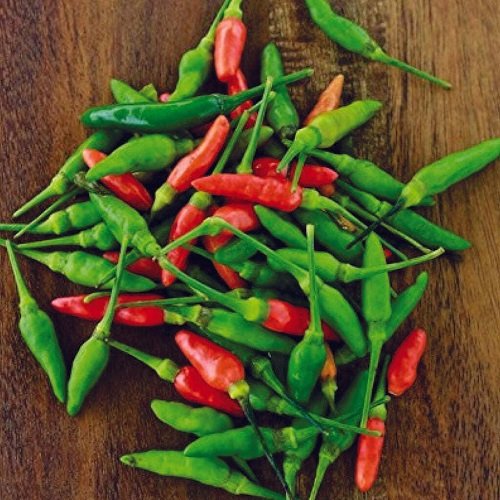 Chilli Kanthari (Bird's Eye Chilli) seeds for planting and growing fresh, spicy, healthy chillies in home gardens and farms.