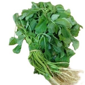 Amaranthus blitum vegetable seeds and spinach for planting and home gardening