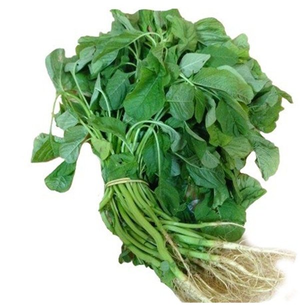 Amaranthus blitum vegetable seeds and spinach for planting and home gardening