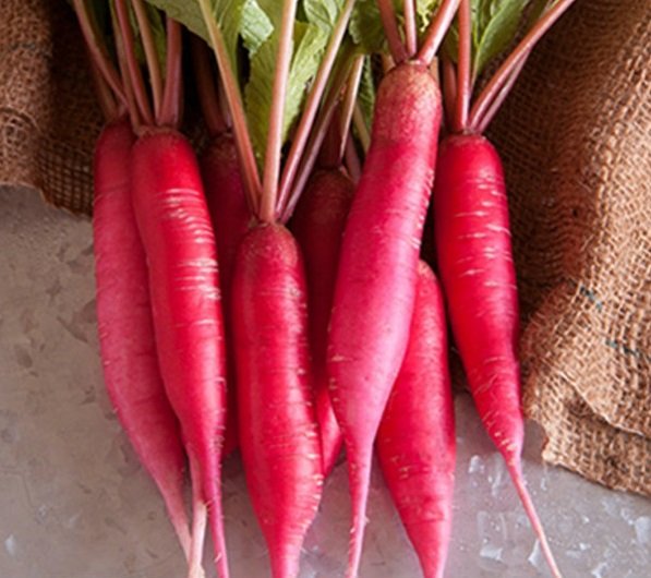 Pink radish vegetable seeds for planting and growing in home gardens