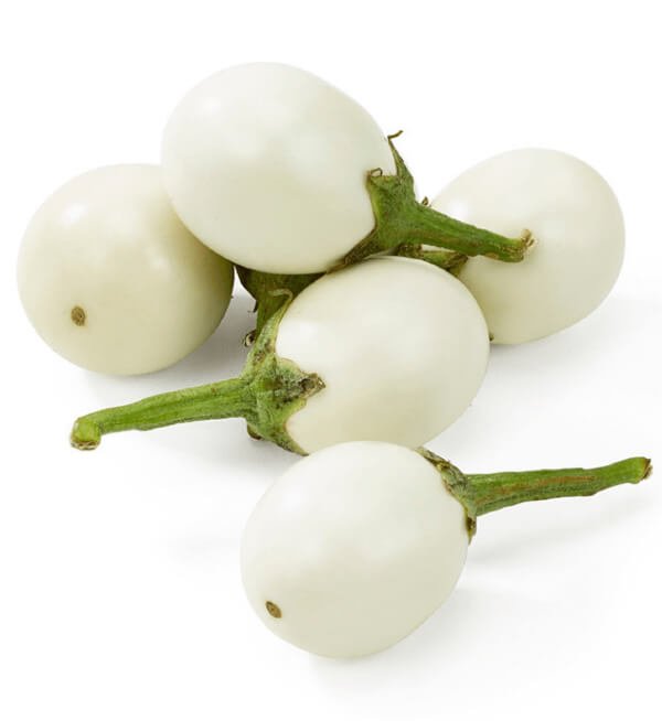 White round brinjal plant with smooth white eggplants ready for harvest, grown from Gardeny Seeds vegetable seeds in home gardens and farms.