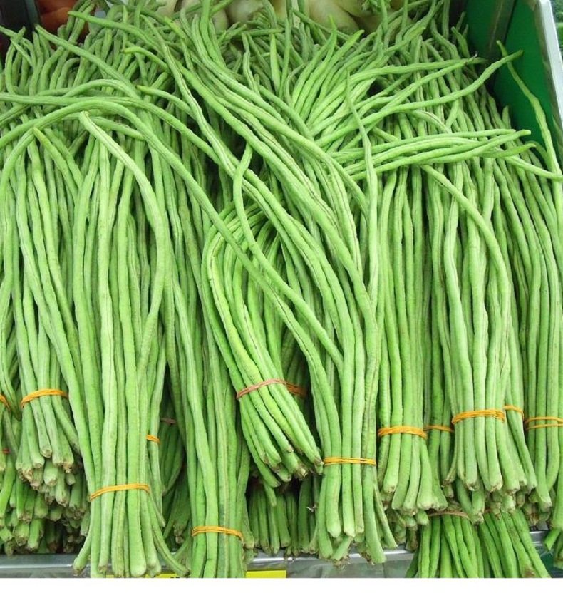 Yard long bean vegetable seeds for planting and home gardening
